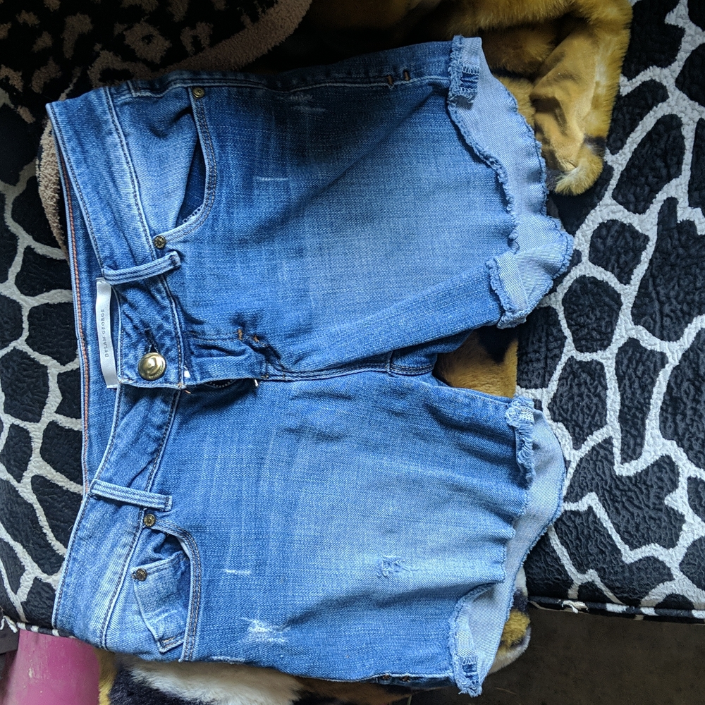 Dylan George Shorts Size 26